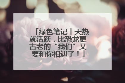绿色笔记丨天热就活跃，比恐龙更古老的“我们”又要和你相遇了！