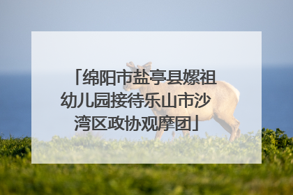 绵阳市盐亭县嫘祖幼儿园接待乐山市沙湾区政协观摩团