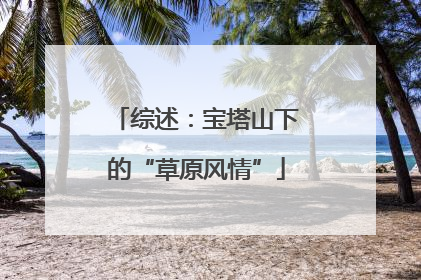综述：宝塔山下的“草原风情”