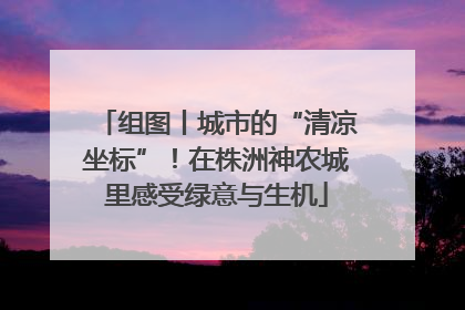 组图丨城市的“清凉坐标”！在株洲神农城里感受绿意与生机
