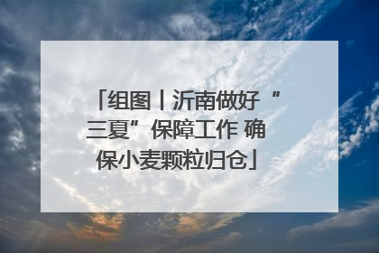 组图丨沂南做好“三夏”保障工作 确保小麦颗粒归仓