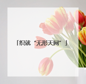 织就“无形天网”