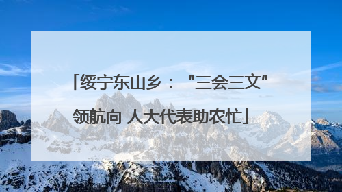 绥宁东山乡：“三会三文”领航向 人大代表助农忙