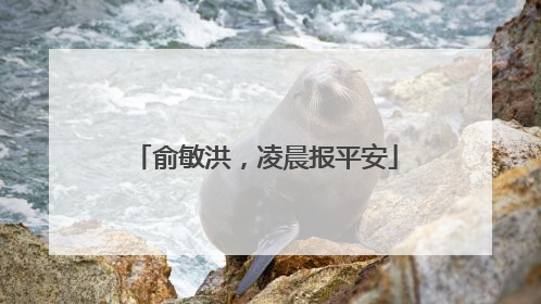 俞敏洪，凌晨报平安