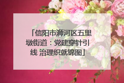 信阳市浉河区五里墩街道：党建穿针引线 治理织就锦图