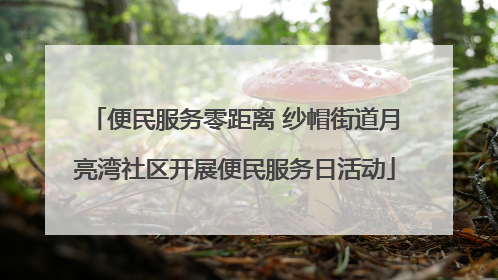 便民服务零距离 纱帽街道月亮湾社区开展便民服务日活动