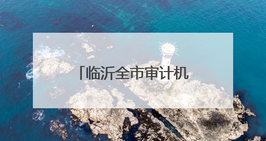 临沂全市审计机关积极在统筹推进基层监督体系建设中发挥职能作用