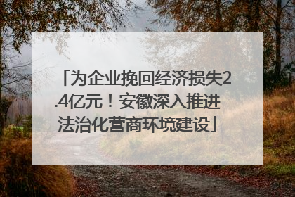 为企业挽回经济损失2.4亿元！安徽深入推进法治化营商环境建设