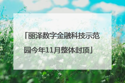 丽泽数字金融科技示范园今年11月整体封顶