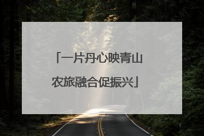 一片丹心映青山 农旅融合促振兴