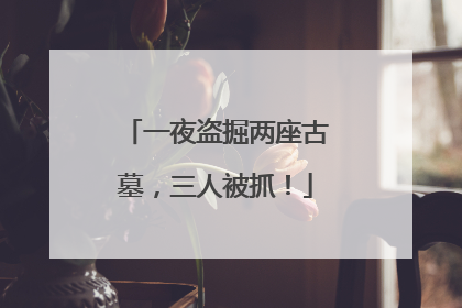 一夜盗掘两座古墓，三人被抓！