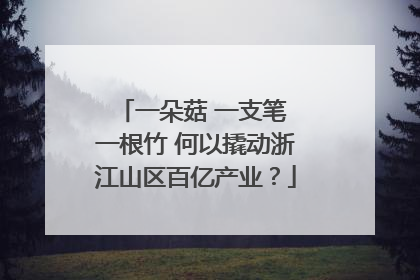 一朵菇 一支笔 一根竹 何以撬动浙江山区百亿产业？