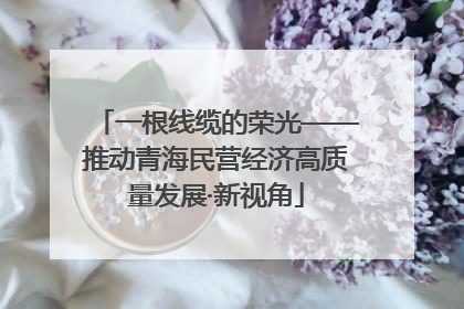 一根线缆的荣光——推动青海民营经济高质量发展·新视角