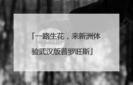一路生花，来新洲体验武汉版普罗旺斯