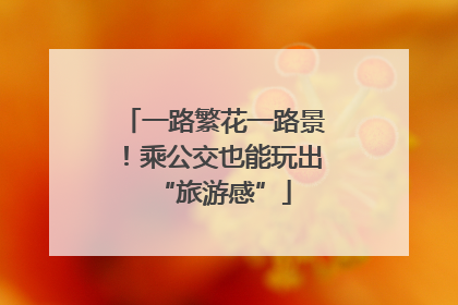 一路繁花一路景！乘公交也能玩出“旅游感”