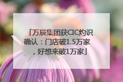 万辰集团获CIC灼识确认：门店破1.5万家，好想来破1万家