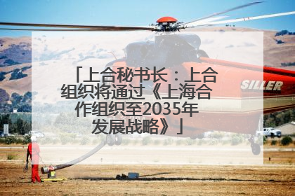 上合秘书长：上合组织将通过《上海合作组织至2035年发展战略》