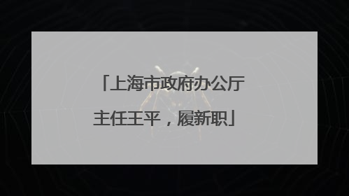 上海市政府办公厅主任王平，履新职