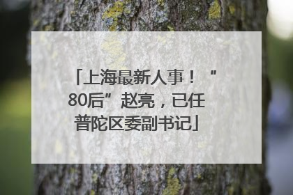 上海最新人事！“80后”赵亮，已任普陀区委副书记