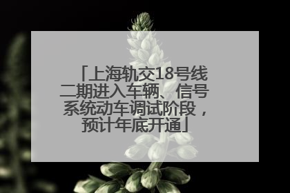 上海轨交18号线二期进入车辆、信号系统动车调试阶段，预计年底开通
