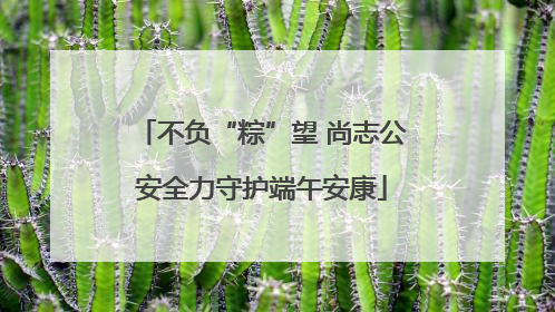 不负“粽”望 尚志公安全力守护端午安康