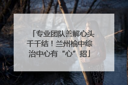 专业团队善解心头千千结！兰州榆中综治中心有“心”招