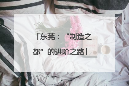 东莞：“制造之都”的进阶之路