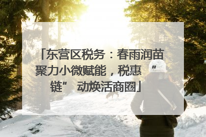 东营区税务：春雨润苗聚力小微赋能，税惠 “链” 动焕活商圈