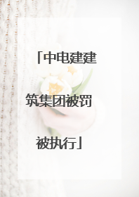 中电建建筑集团被罚被执行