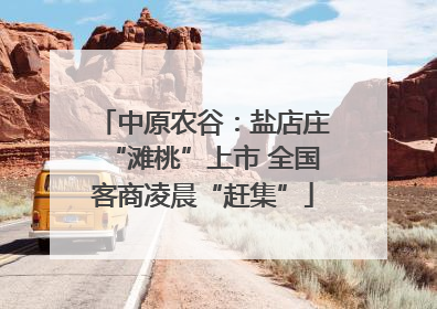 中原农谷：盐店庄“滩桃”上市 全国客商凌晨“赶集”