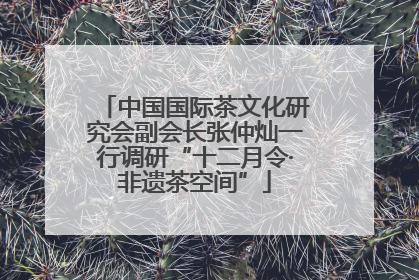 中国国际茶文化研究会副会长张仲灿一行调研“十二月令·非遗茶空间”