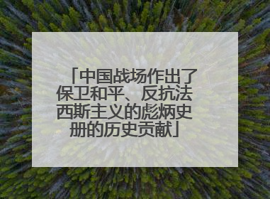 中国战场作出了保卫和平、反抗法西斯主义的彪炳史册的历史贡献