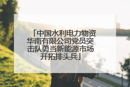 中国水利电力物资华南有限公司党员突击队勇当新能源市场开拓排头兵