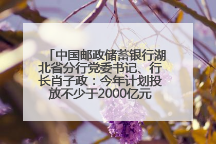 中国邮政储蓄银行湖北省分行党委书记、行长肖子政：今年计划投放不少于2000亿元支持支点建设