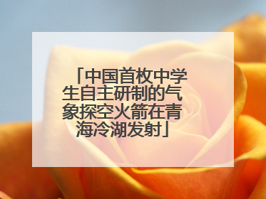 中国首枚中学生自主研制的气象探空火箭在青海冷湖发射