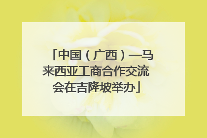 中国（广西）—马来西亚工商合作交流会在吉隆坡举办