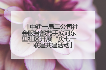 中建一局二公司社会服务部携手滨河东里社区开展“庆七一”联建共建活动