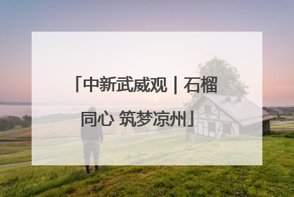 中新武威观｜石榴同心 筑梦凉州