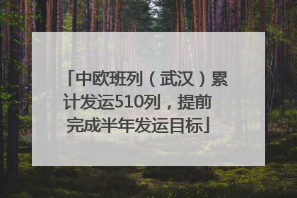 中欧班列（武汉）累计发运510列，提前完成半年发运目标