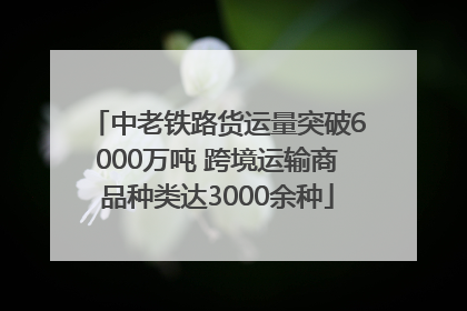 中老铁路货运量突破6000万吨 跨境运输商品种类达3000余种