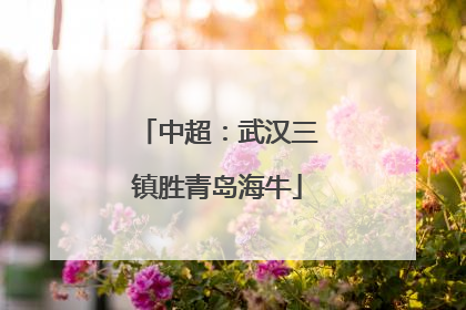 中超：武汉三镇胜青岛海牛