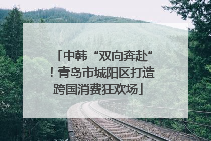 中韩“双向奔赴”！青岛市城阳区打造跨国消费狂欢场