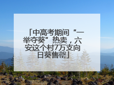 中高考期间“一举夺葵”热卖，六安这个村7万支向日葵售罄