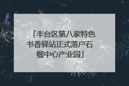 丰台区第八家特色书香驿站正式落户石榴中心产业园