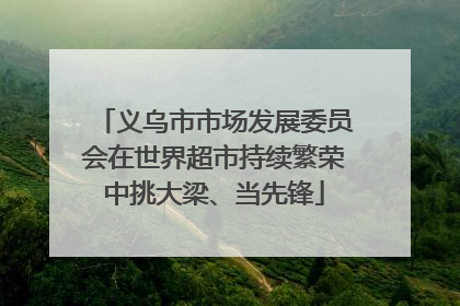 义乌市市场发展委员会在世界超市持续繁荣中挑大梁、当先锋