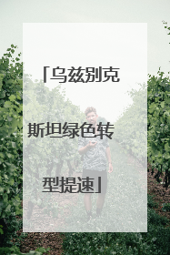 乌兹别克斯坦绿色转型提速