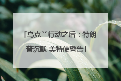乌克兰行动之后：特朗普沉默 美特使警告