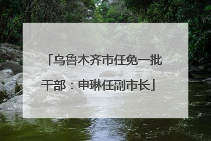 乌鲁木齐市任免一批干部：申琳任副市长