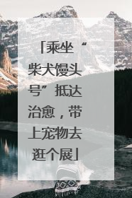 乘坐“柴犬馒头号”抵达治愈，带上宠物去逛个展