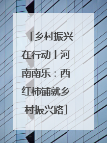 乡村振兴在行动丨河南南乐：西红柿铺就乡村振兴路